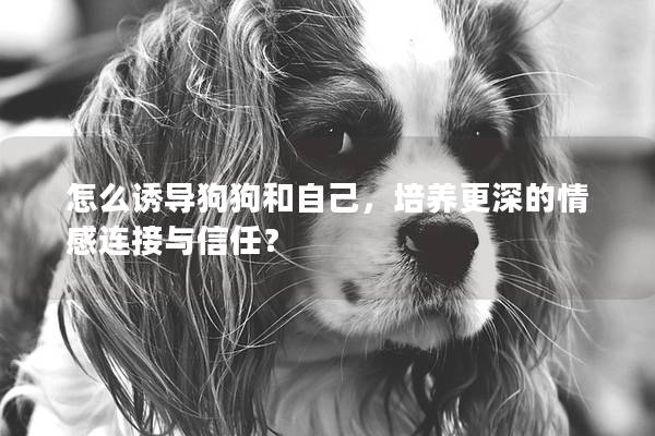 怎么诱导狗狗和自己，培养更深的情感连接与信任？