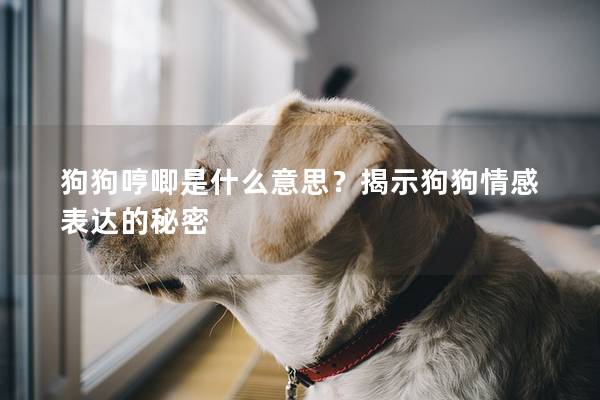 狗狗哼唧是什么意思？揭示狗狗情感表达的秘密