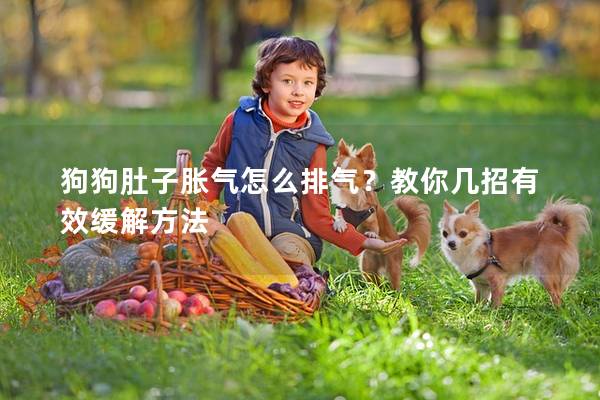 狗狗肚子胀气怎么排气？教你几招有效缓解方法