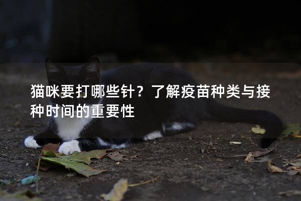 猫咪要打哪些针？了解疫苗种类与接种时间的重要性