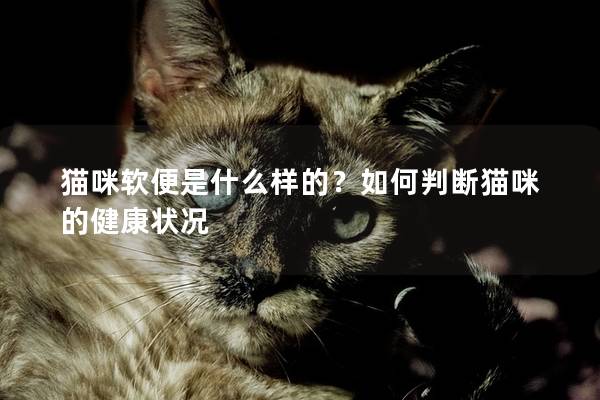 猫咪软便是什么样的？如何判断猫咪的健康状况