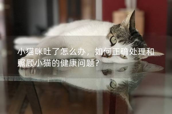 小猫咪吐了怎么办，如何正确处理和照顾小猫的健康问题？