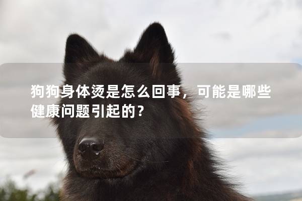 狗狗身体烫是怎么回事，可能是哪些健康问题引起的？