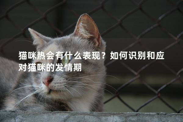 猫咪热会有什么表现？如何识别和应对猫咪的发情期