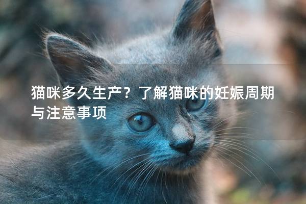 猫咪多久生产？了解猫咪的妊娠周期与注意事项