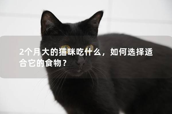 2个月大的猫咪吃什么，如何选择适合它的食物？