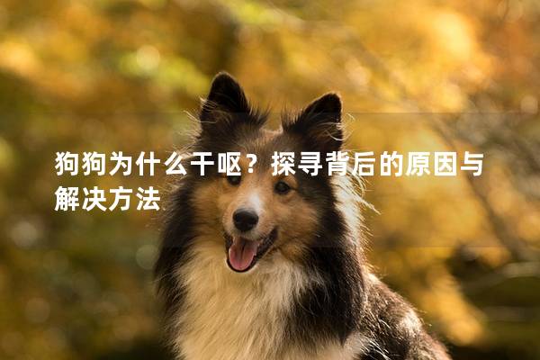 狗狗为什么干呕？探寻背后的原因与解决方法