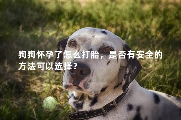 狗狗怀孕了怎么打胎，是否有安全的方法可以选择？