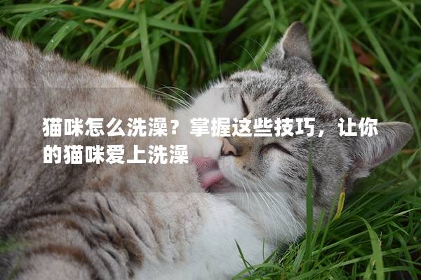 猫咪怎么洗澡？掌握这些技巧，让你的猫咪爱上洗澡