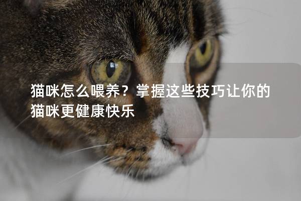 猫咪怎么喂养？掌握这些技巧让你的猫咪更健康快乐