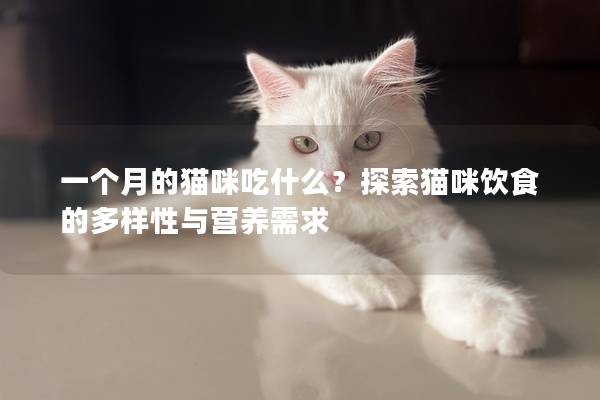 一个月的猫咪吃什么？探索猫咪饮食的多样性与营养需求