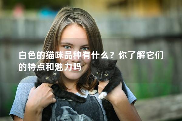 白色的猫咪品种有什么？你了解它们的特点和魅力吗