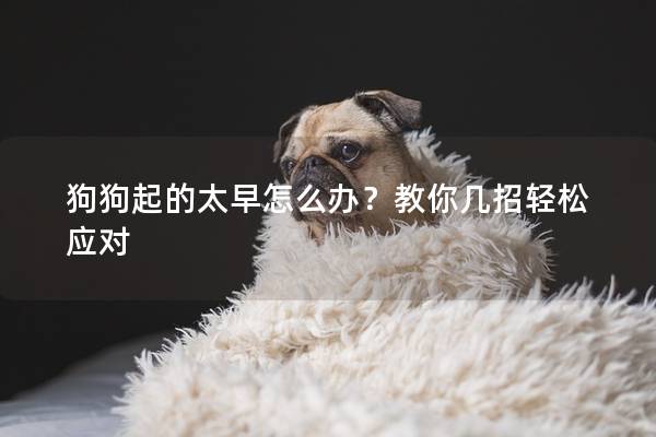 狗狗起的太早怎么办？教你几招轻松应对