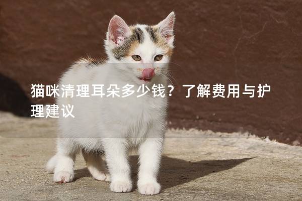 猫咪清理耳朵多少钱？了解费用与护理建议