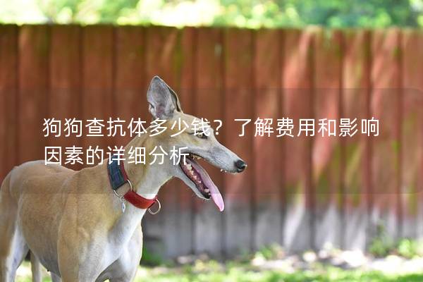 狗狗查抗体多少钱？了解费用和影响因素的详细分析