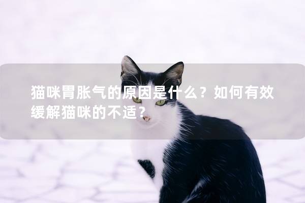 猫咪胃胀气的原因是什么？如何有效缓解猫咪的不适？