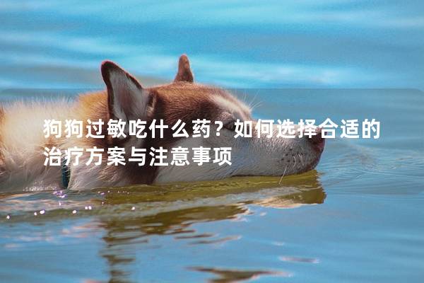 狗狗过敏吃什么药？如何选择合适的治疗方案与注意事项