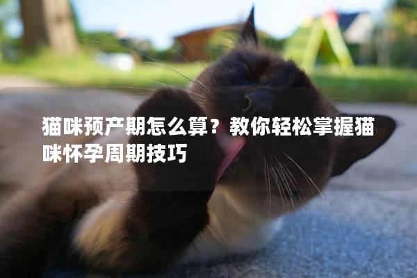 猫咪预产期怎么算？教你轻松掌握猫咪怀孕周期技巧