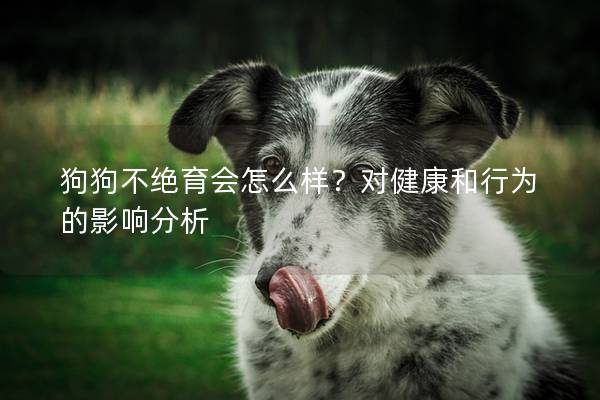 狗狗不绝育会怎么样？对健康和行为的影响分析