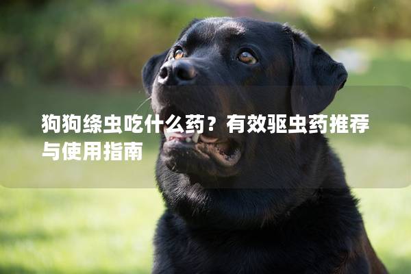 狗狗绦虫吃什么药？有效驱虫药推荐与使用指南