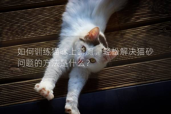 如何训练猫咪上蹲厕，轻松解决猫砂问题的方法是什么？