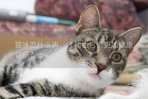 猫咪吃什么肉，才能让它们更加健康快乐？