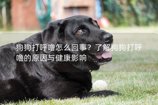 狗狗打呼噜怎么回事？了解狗狗打呼噜的原因与健康影响