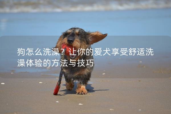 狗怎么洗澡？让你的爱犬享受舒适洗澡体验的方法与技巧