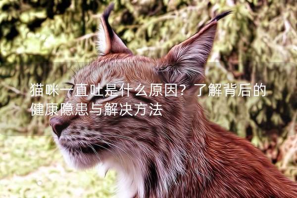 猫咪一直吐是什么原因？了解背后的健康隐患与解决方法