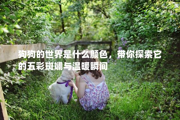 狗狗的世界是什么颜色，带你探索它的五彩斑斓与温暖瞬间