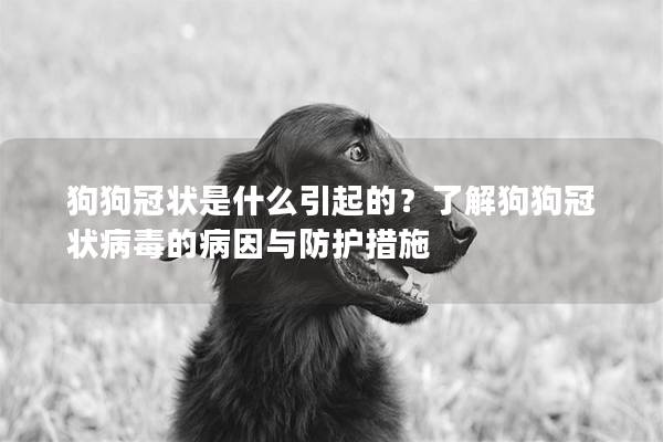 狗狗冠状是什么引起的？了解狗狗冠状病毒的病因与防护措施