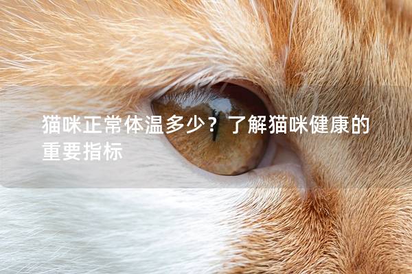 猫咪正常体温多少？了解猫咪健康的重要指标