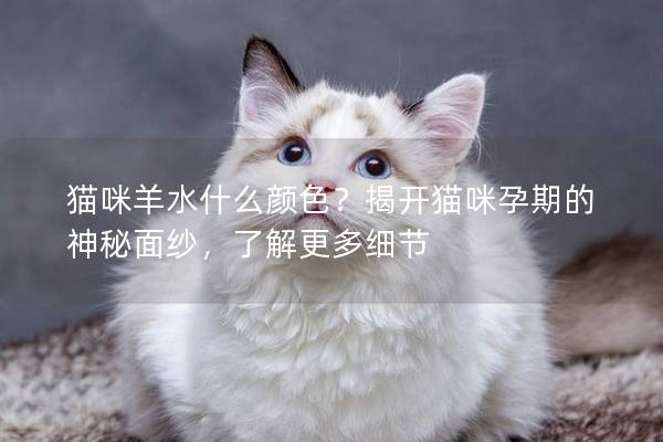 猫咪羊水什么颜色？揭开猫咪孕期的神秘面纱，了解更多细节