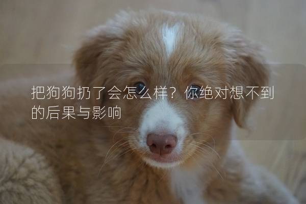 把狗狗扔了会怎么样？你绝对想不到的后果与影响