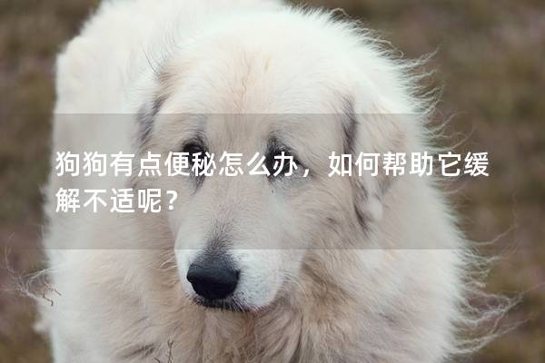 狗狗有点便秘怎么办，如何帮助它缓解不适呢？