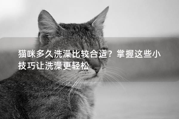 猫咪多久洗澡比较合适？掌握这些小技巧让洗澡更轻松