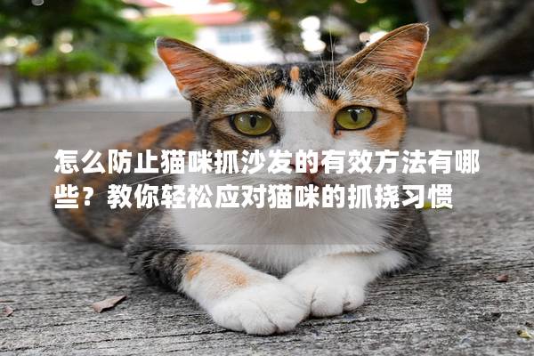 怎么防止猫咪抓沙发的有效方法有哪些？教你轻松应对猫咪的抓挠习惯