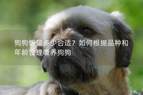 狗狗饭量多少合适？如何根据品种和年龄合理喂养狗狗