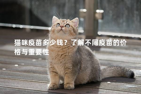 猫咪疫苗多少钱？了解不同疫苗的价格与重要性