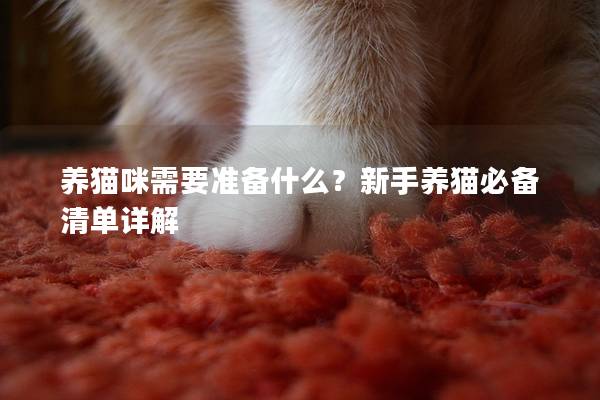 养猫咪需要准备什么？新手养猫必备清单详解