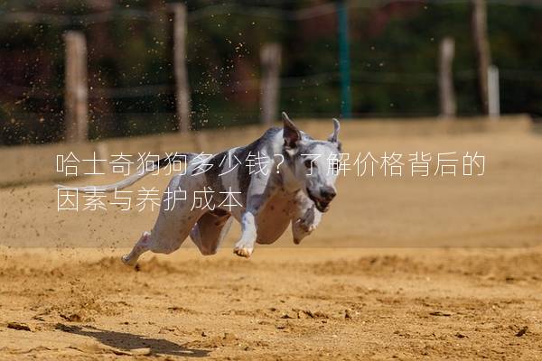 哈士奇狗狗多少钱？了解价格背后的因素与养护成本