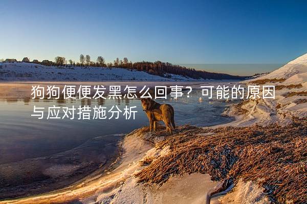 狗狗便便发黑怎么回事？可能的原因与应对措施分析