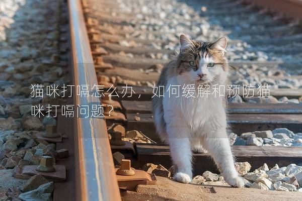 猫咪打嗝怎么办，如何缓解和预防猫咪打嗝问题？