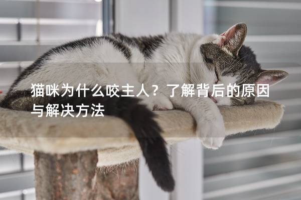 猫咪为什么咬主人？了解背后的原因与解决方法