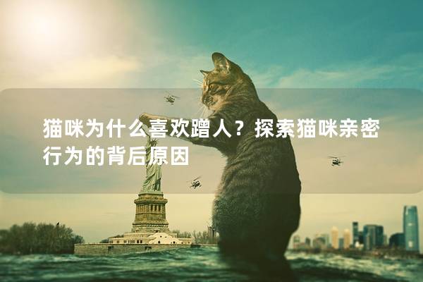 猫咪为什么喜欢蹭人？探索猫咪亲密行为的背后原因