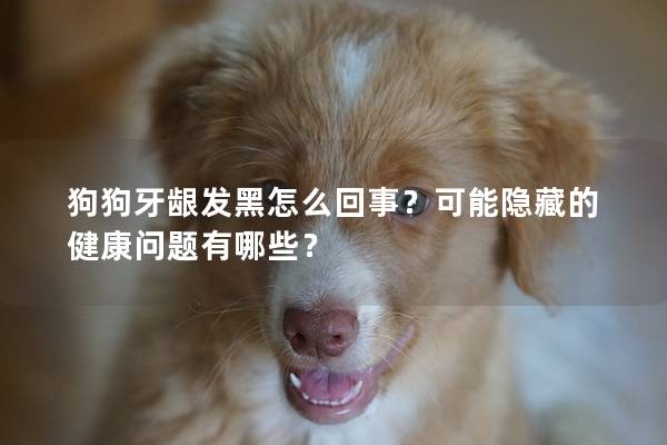 狗狗牙龈发黑怎么回事？可能隐藏的健康问题有哪些？