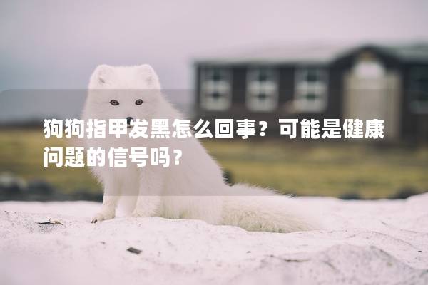 狗狗指甲发黑怎么回事？可能是健康问题的信号吗？