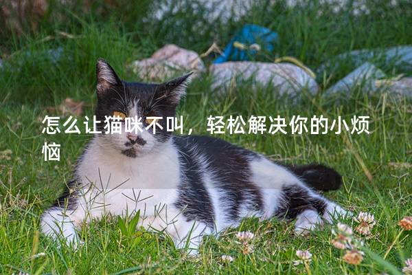 怎么让猫咪不叫，轻松解决你的小烦恼