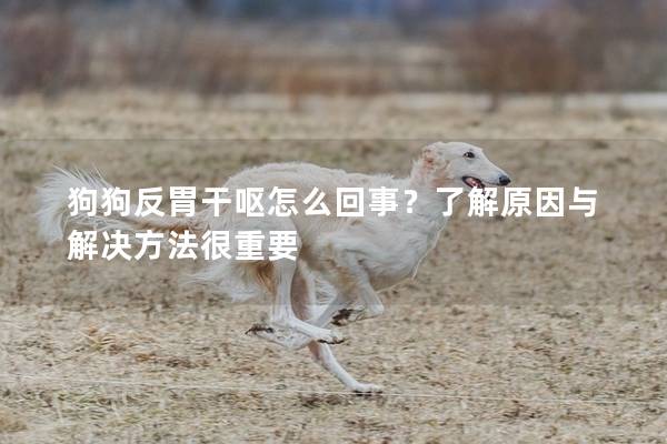 狗狗反胃干呕怎么回事？了解原因与解决方法很重要