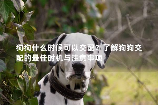 狗狗什么时候可以交配？了解狗狗交配的最佳时机与注意事项